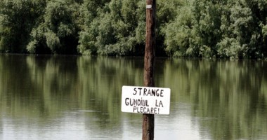 Urgia de pe Dunăre a ajuns în județul Constanța - 5