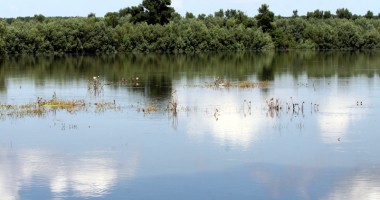 Urgia de pe Dunăre a ajuns în județul Constanța - 12