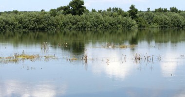 Dunărea face prăpăd în județul Constanța - 4