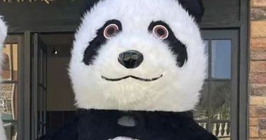Stire din Actualitate : Câți bani face un român îmbrăcat în costum de urs în Italia: "Am câştigat mai mult decât mă așteptam"