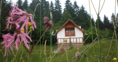 Stire din Economie : Start al Programului Special "Vacanțe la țară"
