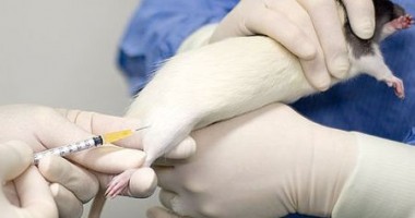 Stire din Social : Vaccinul contra dependenței de heroină devine realitate