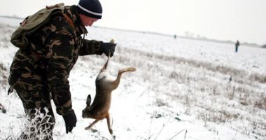 Stire din Eveniment : Bărbat împuşcat din greșeală în timpul unei partide de vânătoare de iepuri