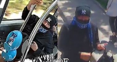 Vandalism în autobuzele CT BUS! Scaune și validatoare, mâzgălite cu carioci permanente - 2