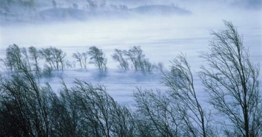 Stire din Social : Avertizare de vânt puternic în județele Galați, Vrancea, Iași și Vaslui