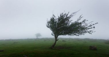 Cod galben de vânt în mai multe județe și informare meteo pentru toată țara