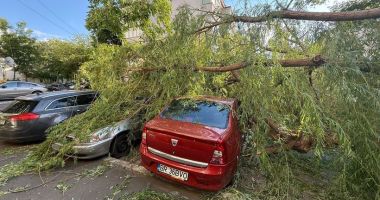Stire din Eveniment : O femeie a ajuns la spital din cauza unui copac prăbușit de vântul putermic