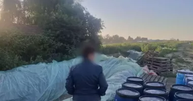 Opt tone de varză murată, distruse după un control. Erau depozitate în gropi săpate în pământ