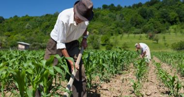 Stire din Actualitate : Proiect de modificare a legii pensiilor. S-ar repara o nedreptate socială