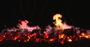 Stire din Eveniment : Tulcea: Aproximativ patru hectare de vegetație uscată, incendiate în satul Greci