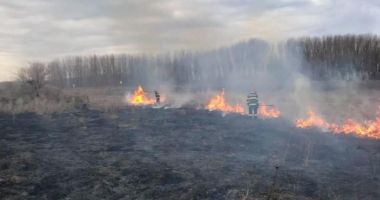 Stire din Eveniment : Incendiu devastator în Tulcea. 30 de hectare de pamânt au ars în întregime