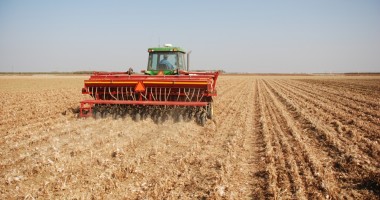 Stire din Economie : Legea privind camerele agricole, aprobată. Ce modificări s-au adus