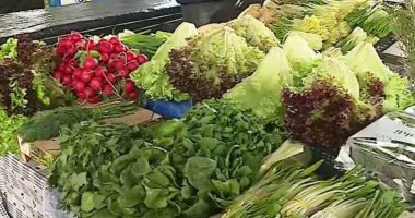 Stire din Actualitate : Verdețuri periculoase pe tarabele din piață. Reziduurile de pesticide depășesc cu mult limita admisă