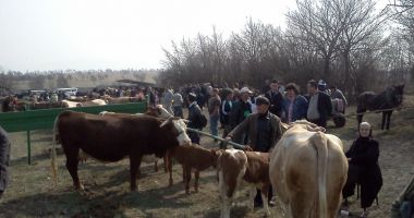 Stire din Economie : Veste bună pentru fermieri. De luna viitoare se redeschid târgurile de animale