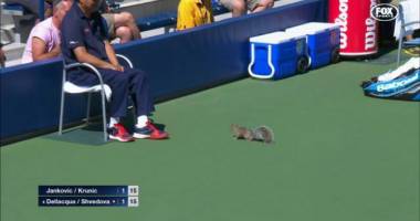 Stire din Sport : Incredibil ce s-a întâmplat la US Open! Cine a întrerupt un meci de tenis