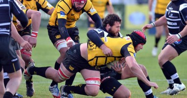 Stire din Sport : Victorie pentru Lupii București, în Challenge Cup