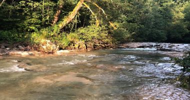 Vine canicula. Atenţie unde vă scăldaţi! - 2