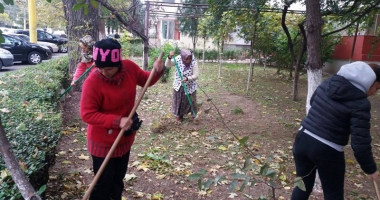 Stire din Social : Vine primăvara. Începe toaletarea copacilor și pregătirea spațiilor verzi din Constanța