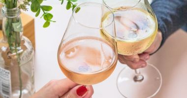Stire din Social : Vin și Gin Tonic: Două Băuturi Clasice pentru Orice Ocazie