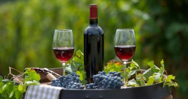 Stire din Sănătate : Vinul roșu vă protejează neuronii de efectele procesului natural de îmbătrânire