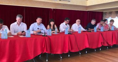 Stire din Politică-Administrație : Viorica Dăncilă, susținută de PSD Constanța la conducerea partidului. Ce funcție țintește Felix Stroe
