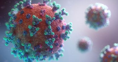 Stire din Actualitate : Un nou virus gripal cu "potențial de pandemie" a fost descoperit în China