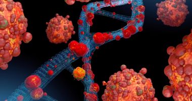 Stire din Sănătate : Un nou virus foarte contagios face ravagii în România. Care sunt simptomele și ce spun specialiștii