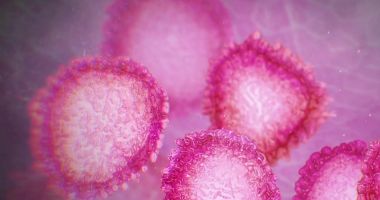 Al 25-lea deces de coronavirus: un bărbat de 81 de ani din București