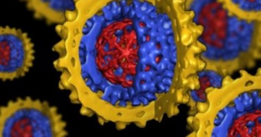 Stire din Sănătate : Specialiștii avertizează:virușii, mult mai rezistenți la antibiotice!