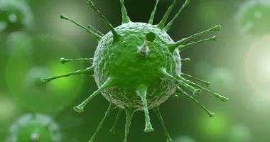 Stire din Actualitate : A fost confirmat primul deces provocat de gripă în acest sezon. O femeie de 88 de ani, nevaccinată