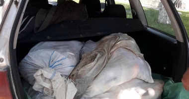 Autoturism Volkswagen oprit în trafic de polițiștii de frontieră. Ce au găsit în portbagaj