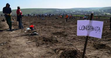 Stire din Politică-Administrație : Voluntarii constănțeni vor planta 10.000 de puieți în Peștera