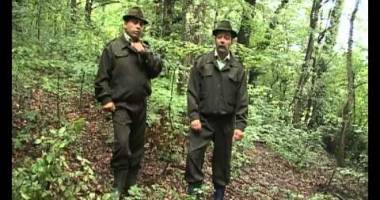 Vom avea mai mulți controlori în păduri