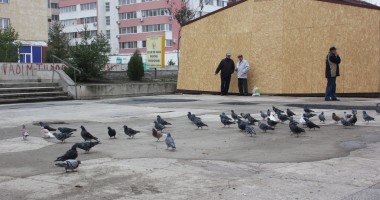 Stire din Social : Cum va fi vremea astăzi, la Constanța