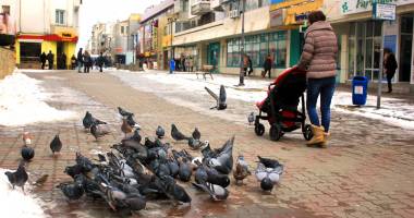 Stire din Social : Cer mai mult senin și maxime de 7 grade Celsius, astăzi, la Constanța