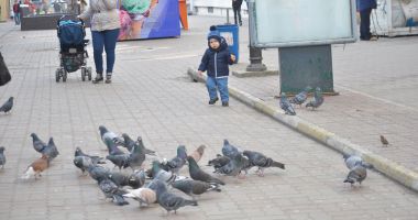 Stire din Social : Cum va fi vremea, săptămâna aceasta, la Constanța