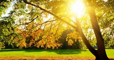 Meteorologii anunță vreme frumoasă în weekend. Sunt așteptate și ploi