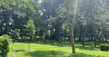 Stire din Social : Vreme călduroasă şi însorită, săptămâna aceasta