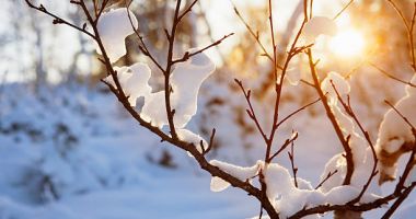 Stire din Social : Vremea devine normală pentru mijlocul iernii, în ianuarie. Prognoza meteo pentru următoarele patru săptămâni
