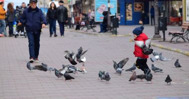 Stire din Social : Vreme rece, în week-end, la Constanța