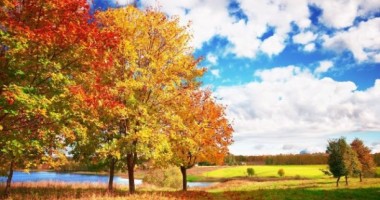 Stire din Social : Avertisment DUR! Iată ce se va întâmpla cu clima României în următorii ani
