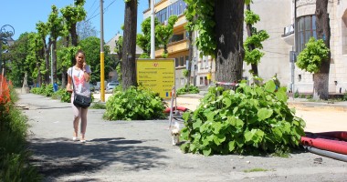 Stire din Social : Cât de cald va fi astăzi la Constanța