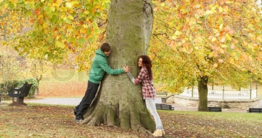 Stire din Social : Maxime de 14-15 grade Celsius, în week-end, la Constanța. De luni, vine iarna de-adevăratelea