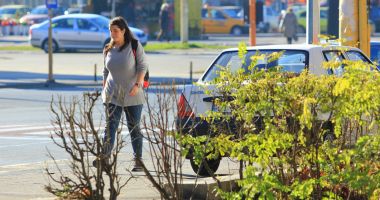 Stire din Social : Vreme preponderent însorită și maxime de 17 grade Celsius, la Constanța