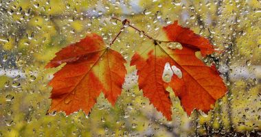 Avertizare meteo de vreme rece și vânt puternic, pentru toată țara