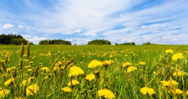 Stire din Social : Vremea se încălzește ușor. Temperatura maximă va fi 24 de grade Celsius