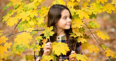 Stire din Social : METEO - Temperaturile minime se situează între 7 și 11 grade