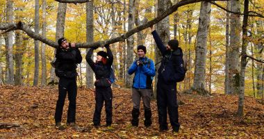 Stire din Social : METEO - Temperaturile minime sunt cuprinse între -3 și un grad Celsius