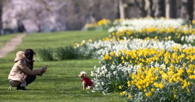 Stire din Social : METEO - Vremea va deveni deosebit de caldă pentru această perioadă