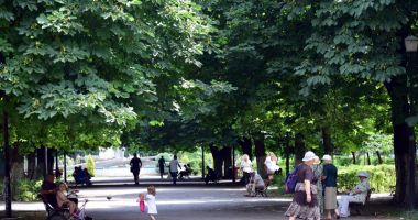 Stire din Social : Temperaturi foarte ridicate și furtuni, la Constanța